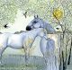 The grey horses and the swallowtails By Sam Cannon