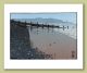 Groynes at Borth Beach Greeting Card by Ian Phillips Linocut Artist 