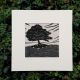 Algan Arts - Gail Kelly Hawthorn Tree Linen Print 