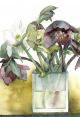 Hellebores in Frosted Glass By Vivienne Cawson