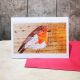 Hope the Robin painting on wood by Liz Toole
