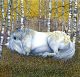 The grey horse in the silver birch (and the fox) By Sam Cannon