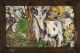 A5 Cheddar Goats By Clare O’Neill Artworks