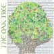 Oak Tree - Fiona Willis Art Greeting Card 