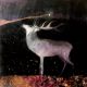Into the velvet darkness By Catherine Hyde