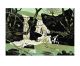 Goat Willow linocut - Ian Phillips Art Greeting Card 