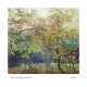 Delicious tapestry of Autumn by Jo Barry RE