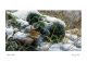 Winter Wren By Jeremy Paul 