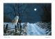 Hunter's Moon By Jeremy Paul