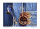 Blue Door & Swallow By Jeremy Paul