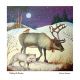 Walking the Reindeer By Jemima Jameson 