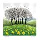  Daffodil Hill By Jane Peart