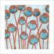 Poppy Seedheads By Janine Partington