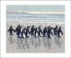  Snowy Beach Kings
by Lizzie Perkins