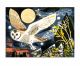 Mark Hearld Owl Flight lithograph - 