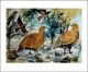 Partridges Collage by Mark Hearld 