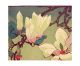 Magnolia - National Galleries Of Scotland Art Greeting Card