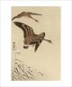 Two White Fronted Geese Flying in Snow by Ohara Koson