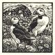 Puffinsby Richard Allen SWLAArt Greeting Card, Linocut