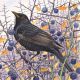Blackbird by Richard Allen SWLA