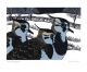 Winter Lapwings
Linocut by Robert Gillmor