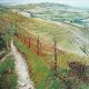 Footpath over the Downs by Stuart Stanley SGFA