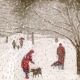 Walk in the Snowstorm by Sue Campion