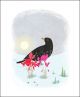 Blackbird & Cyclamen by Sally Elford
