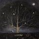 Seven for a secret The Magpie Song By Catherine Hyde