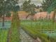 CEDRIC MORRIS
Wartime Garden