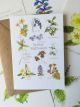 Spring Wildflowers Card By Angela Hennessy