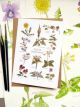Spring Wildflowers (2nd edition) greetings card By Angela Hennessy