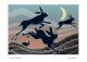 Hares Moonshadow By Stuart Renfrew