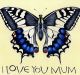 Swallowtail – I love you mum By Sam Cannon Art
