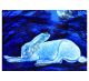 Tamsin Abbott - Creggan White Hare (blue)