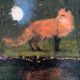 The midnight fox By Catherine Hyde