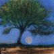 The tree of life By Catherine Hyde