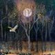 Night's wings By Catherine Hyde