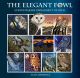 the elegant fowl - a printmakers' parliament of owls