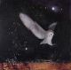 The soft night descending by Catherine Hyde