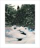Snowy Caw by William H. Hayes