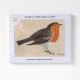 AGBI CHRISTMAS CARD PACK – Robin Artist: Mary Fedden RA