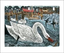 Southwold Swan 
by Angela Harding
