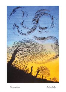 Murmurations By Andrew Seaby