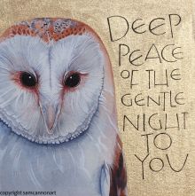 Barn owl - Deep peace of the gentle night to you - from a Gaelic Blessing