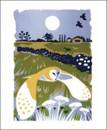 Barn Owl (Tweet of the Day) Screen print by Carry Akroyd