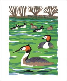 Great Crested Grebe and Goldeneye (Tweet of the Day) Screen print by Carry Akroyd 