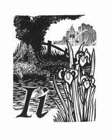I for Iris, (Ivy and Isfield) HAND PRINTED CARD BY KEITH PETTIT
