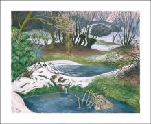 Frozen Ponds by John Nash  