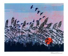 Sunset Flight by Robert Gillmor